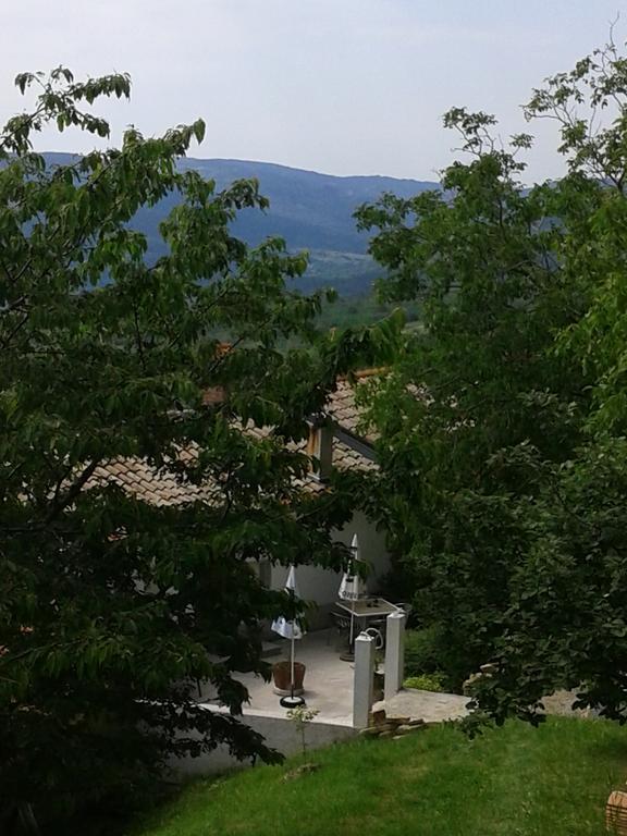 Apartment Bella Vista 2 Buzet Exterior photo